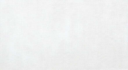 Detailed View of Plain White Canvas Fabric Texture