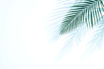 Generative AI: Palm Leaf Silhouette on White Surface.