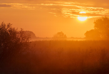 Fototapeta premium sunrise over the river