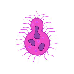 Cryptococcus