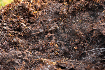 soil Compost pile, organic thermophilic compost turning in Tasmania Australia