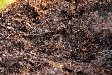 soil Compost pile, organic thermophilic compost turning in Tasmania Australia