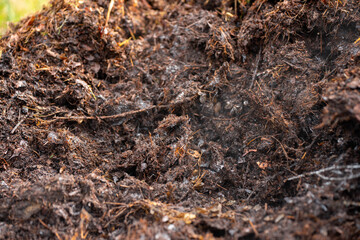 soil Compost pile, organic thermophilic compost turning in Tasmania Australia