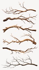 Fototapeta premium Tree branch element set