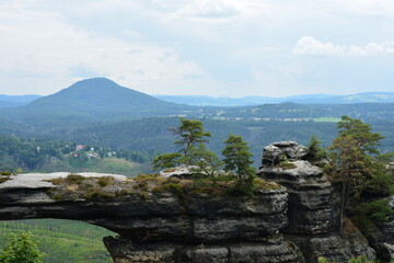 A close-up of the top of a spectacular natural rock bridge, where hardy pine trees grow against a backdrop of a distant mountain