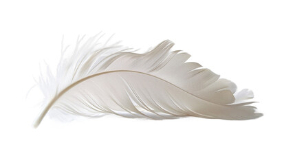 Obraz premium Pure white feather highlighting its delicate lightness and soft, airy texture