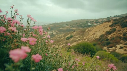 Beautiful Mountain Landscape with Pink Wildflowers and Rolling Hills under Cloudy Sky