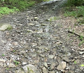 Obraz premium Rocky road