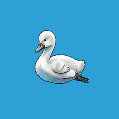 Obraz premium Elegant White Swan with Smooth Feathers and a Curved Neck, Swimming Gracefully.