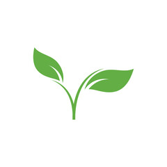 hand and leaf illustration