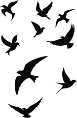 silhouettes of birds