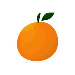 Fresh Orange Fruits icon in white background. Fresh fruit s of tangerine, orange, sunkiss, tropical fruits icon, vector design isolated in white background