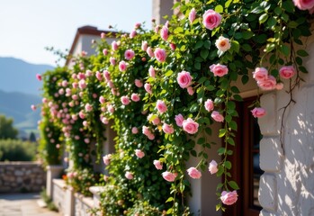 climbing roses draping terrace, leaves and flowers shading walls, cinematic photorealistic wide shot capturing natural cooling effect vividly