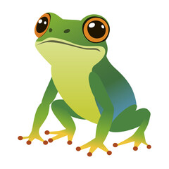 Vector illustration of a colorful frog with distinct orange eyes. The vibrant amphibian is depicted in a sitting position, showcasing its bright green and blue hues on a white background.