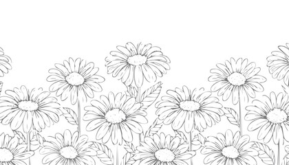 Delicate daisy floral border illustration flower