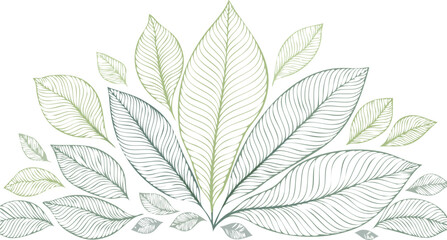 Obraz premium Delicate green leaf pattern with intricate lines leaves nature