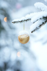 Close-up of snow-covered Christmas tree branch with golden colored Christmas tree ball hanging