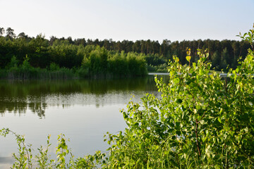 Serene lake surrounded by lush green trees under a clear sky in sunset