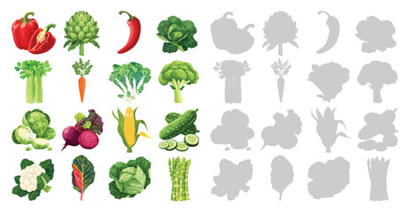 Set of vegetables poster. Bell pepper, broccoli, corn, cucumber, beetroot, cabbage, chard, asparagus. Vintage style vector illustrations for healthy eating, kitchen wall art, restaurant decor.