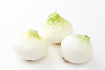 新玉ねぎ　白バック