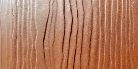 wood texture, top view. light wood background. natural pattern on a wooden surface