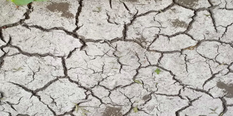 detail of a cracked earth