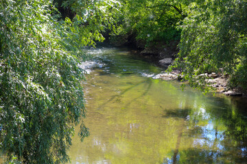 ​A calm river with clear water flows between dense thickets of trees that bend their branches towards the surface. Sunbeams reflecting off the water create sparkling highlights and emphasize the seren