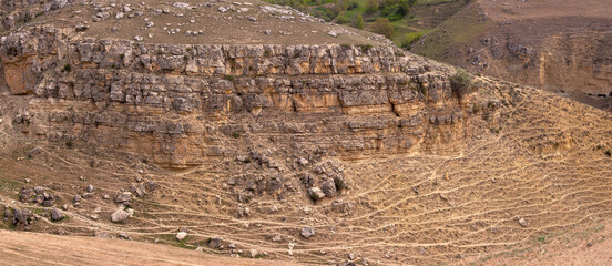 There are many paths in the mountains left by animals.