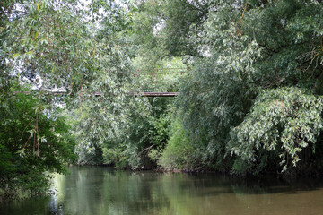 A calm river with dark water flows slowly between dense thickets of trees and bushes. An old metal...