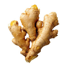 fresh ginger root on white background top view
