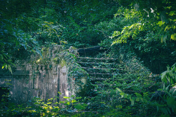 Ruines du Château de la solitude au Plessis-Robinson