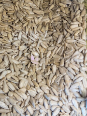 Shelled sunflower seeds in bulk. Natural nut and seed background.