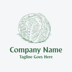 Vintage Retro Hand Drawn Cabbage Vegetable Illustration for Farm Garden Product Logo Design