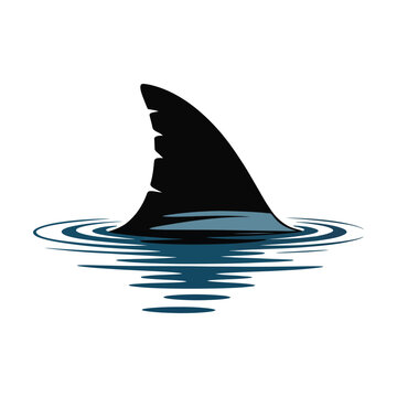 Shark Fin Silhouette Illustration in Ocean Waters Black and Blue Vector Graphic
