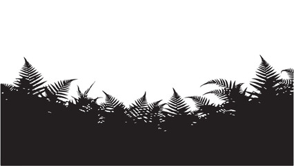 Black Silhouette of Ferns on White Background © Zulfa