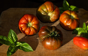 organic ripe tomatoes freshly picked