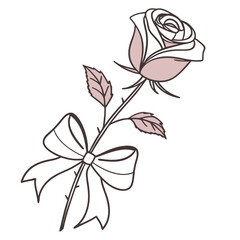 Elegant single rose with delicate leaves and a satin bow on a white background