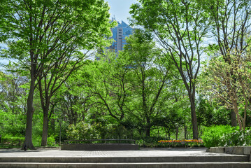 新宿中央公園の緑地とビル / Green Space and Buildings in Shinjuku Chuo Park

（東京/Tokyo）