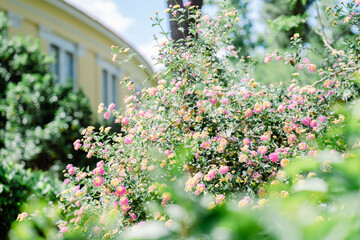 アテネの美しい風景