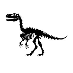 t rex dinosaur