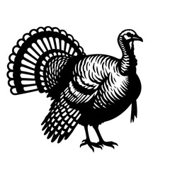 vector illustration of a turkey