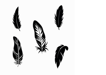 Artistic Feather Vector Set