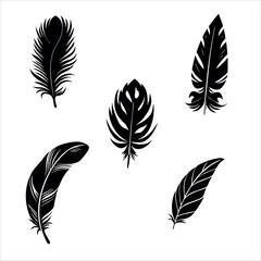 Artistic Feather Vector Set