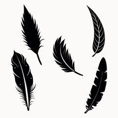 Artistic Feather Vector Set