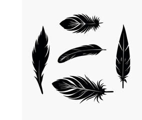 Artistic Feather Vector Set