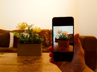 Man holding a phone with picture of a flowers, with flowers on a table in a living room with a...