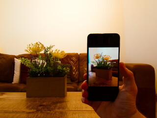 Man holding a phone with picture of a flowers, with flowers on a table in a living room with a...