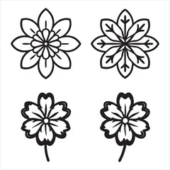 A Detailed Close-up of Alchemilla, a Gentle Lady's Mantle Plant with Scalloped Leaves Holding a Perfect Jewel of a Dewdrop