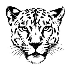 vector illustration of a tiger