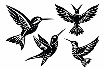 Four stylized hummingbird silhouettes in flight are showcased against a plain white background.